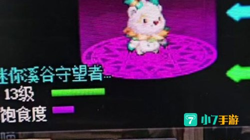 dnf新年宠物