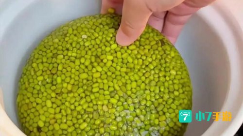 为什么煮出来的绿豆汤蚂蚁庄园