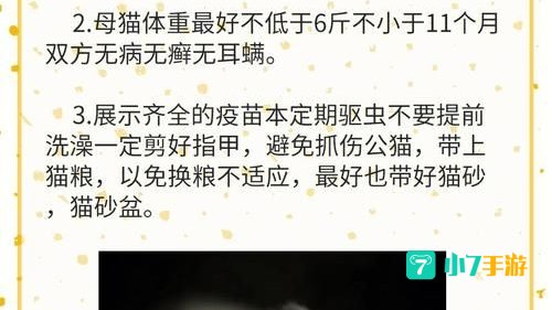 猫咪永久域名收藏地址