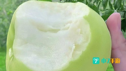 青苹果视频